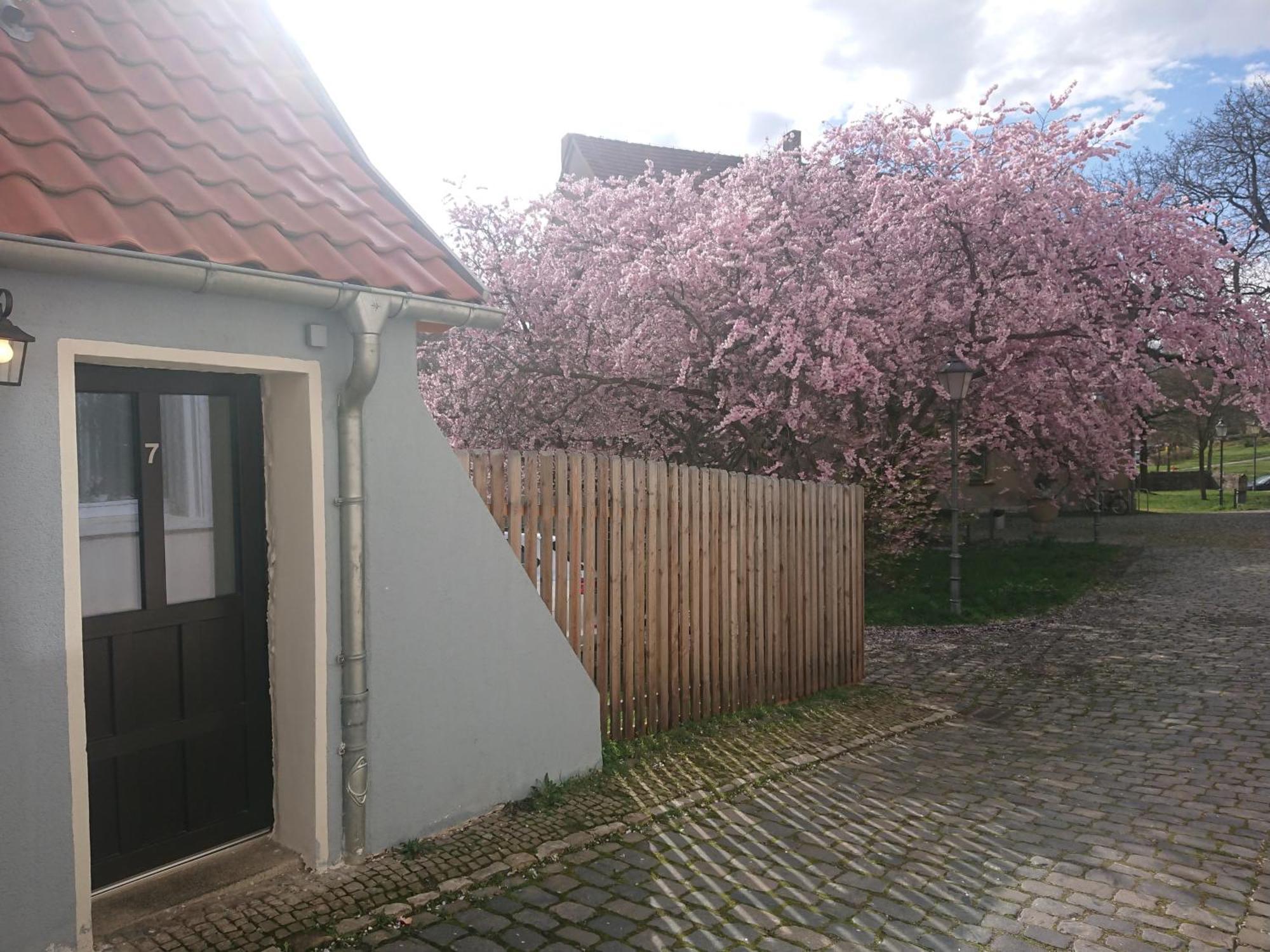 Ferienhaus Aschersleben Exterior photo